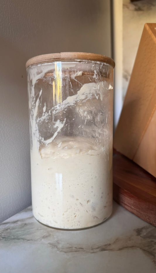 Sourdough Starter