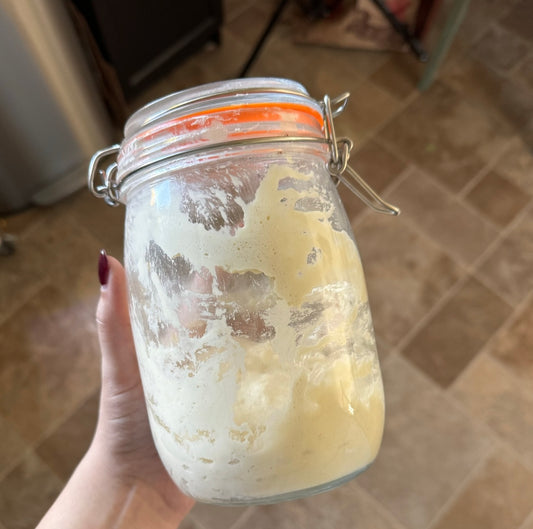 Feeding your Sourdough Starter